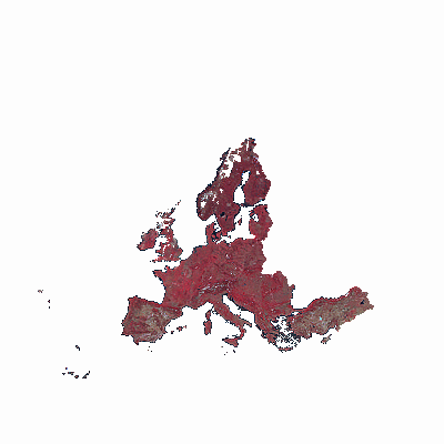 Export Image